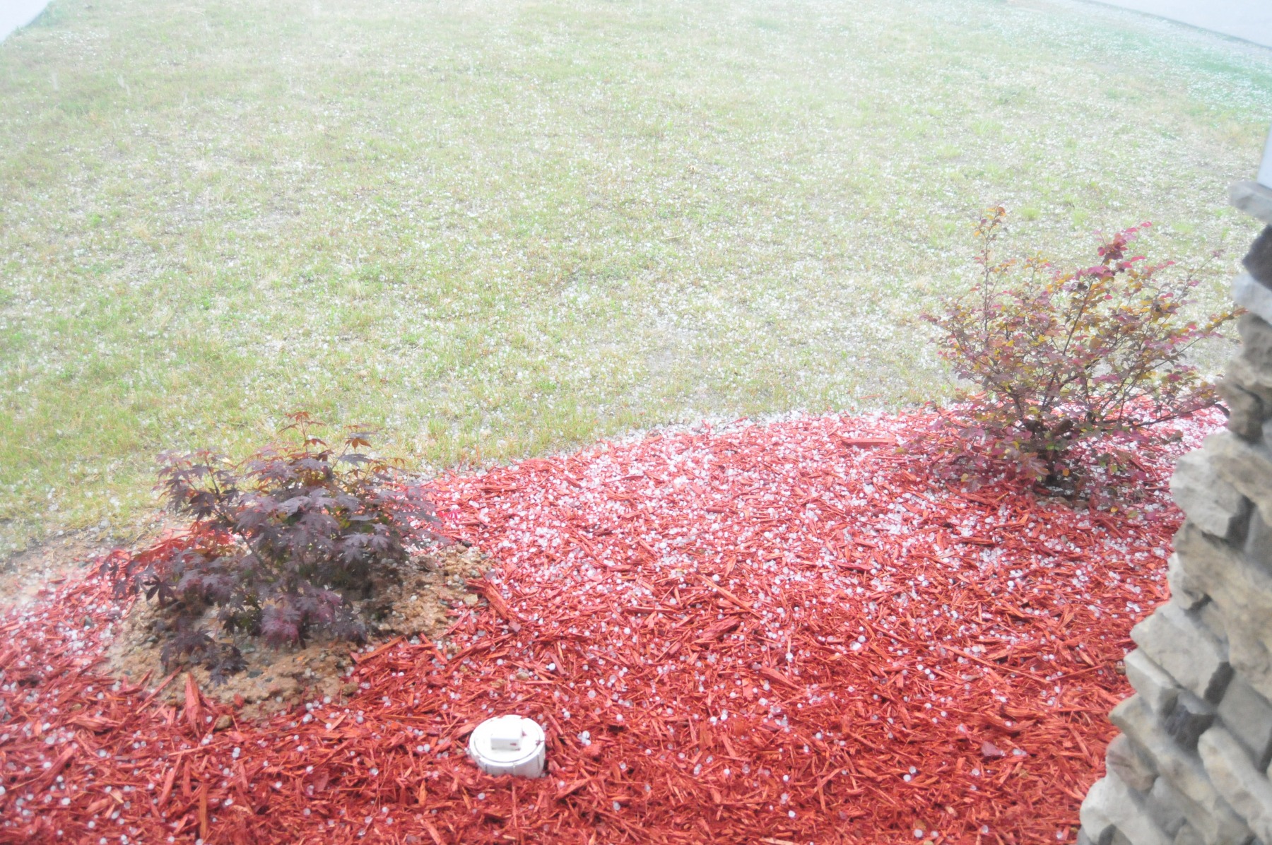 Marble-sized hail is certainly a novel experience…
